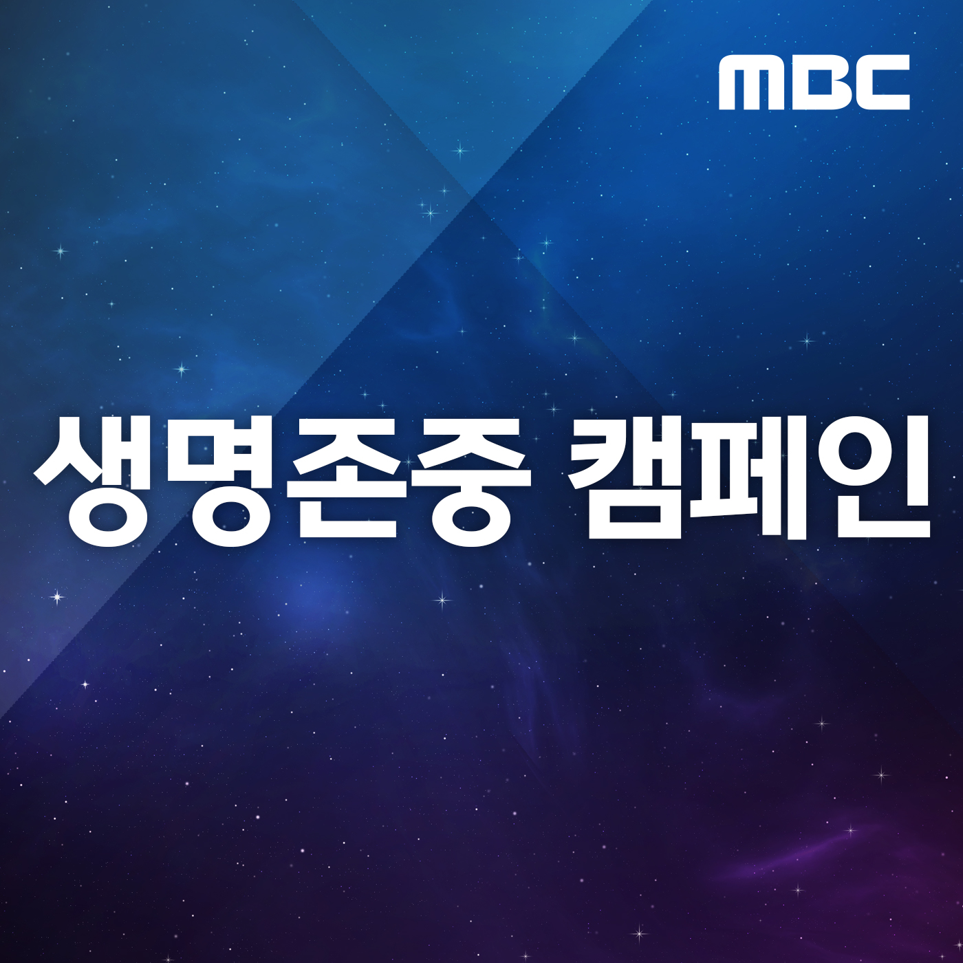 생명존중 캠페인