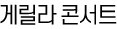게릴라 콘서트