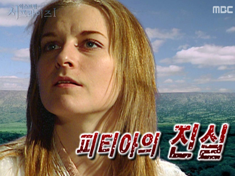 플레이어