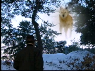 진실 혹은 거짓 클립 이미지