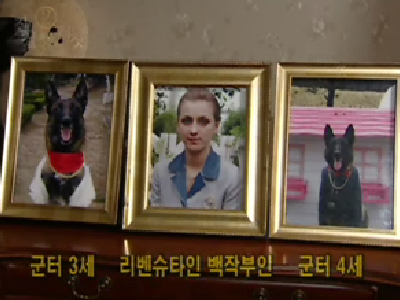 진실 혹은 거짓 이야기 #2 클립 이미지