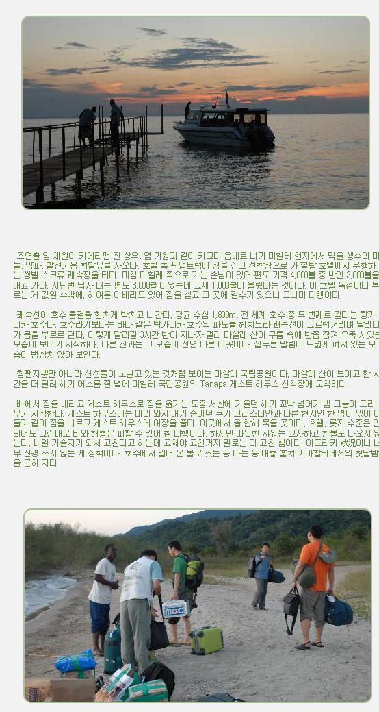  조연출 임 채원이 카메라맨 전 상우, 염 기원과 같이 키고마 읍내로 나가 마할레 현지에서 먹을 생수와 마늘, 양파, 발전기용 휘발유를 사오다. 호텔 측 픽업트럭에 짐을 싣고 선착장으로 가 힐탑 호텔에서 운행하는 쌍발 스크류 쾌속정을 타다. 마침 마할레 쪽으로 가는 손님이 있어 편도 가격 4,000불 중 반인 2,000불을 내고 가다. 지난번 답사 때는 편도 3,000뷸 이었는데 그새 1,000불이 올랐다는 것이다. 이 호텔 독점이니 부르는 게 값일 수밖에. 하여튼 이배라도 있어 짐을 싣고 그 곳에 갈수가 있으니 그나마 다행이다.
 

 쾌속선이 호수 물결을 힘차게 박차고 나간다. 평균 수심 1,800m, 전 세계 호수 중 두 번째로 깊다는 탕가니카 호수다. 호수라기보다는 바다 같은 탕가니카 호수의 파도를 헤치느라 쾌속선이 그르렁거리며 달리다가 몸을 부르르 떤다. 이렇게 달리길 3시간 반이 지나자 멀리 마할레 산이 구름 속에 반쯤 잠겨 우뚝 서있는 모습이 보이기 시작하다. 다른 산과는 그 모습이 전연 다른 이곳이다. 짙푸른 말림이 드넓게 펴져 있는 모습이 범상치 않아 보인다.
 

 침팬지뿐만 아니라 신선들이 노닐고 있는 것처럼 보이는 마할레 국립공원이다. 마할레 산이 보이고 한 시간을 더 달려 해가 어스름 질 녘에 마할레 국립공원의 Tanapa 게스트 하우스 선착장에 도착하다.
 

 배에서 짐을 내리고 게스트 하우스로 짐을 옮기는 도중 서산에 기울던 해가 꼬박 넘어가 밤 그늘이 드리우기 시작한다. 게스트 하우스에는 미리 와서 대기 중이던 쿠커 크리스티안과 다른 현지인 한 명이 있어 이들과 같이 짐을 나르고 게스트 하우스에 여장을 풀다. 이곳에서 올 한해 묵을 곳이다. 호텔, 롯지 수준은 안 되어도 그런대로 비와 해충은 피할 수 있어 참 다행이다. 하지만 따뜻한 샤워는 고사하고 찬물도 나오지 않는다. 내일 기술자가 와서 고친다고 하는데 고쳐야 고친거지 말로는 다 고친 셈이다. 아프리카 狀況이니 너무 신경 쓰지 않는 게 상책이다. 호수에서 길어 온 물로 씻는 둥 마는 둥 대충 훔치고 마할레에서의 첫날밤을 곤히 자다